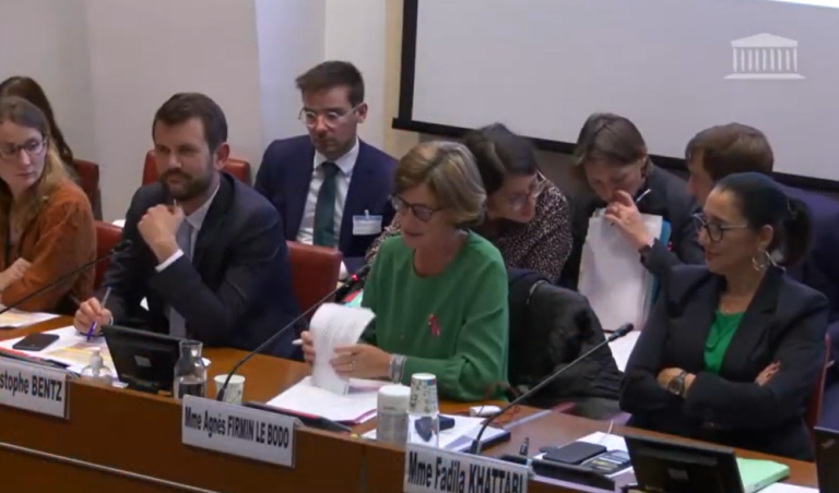 Audition Agnès Firmin Le Bodo