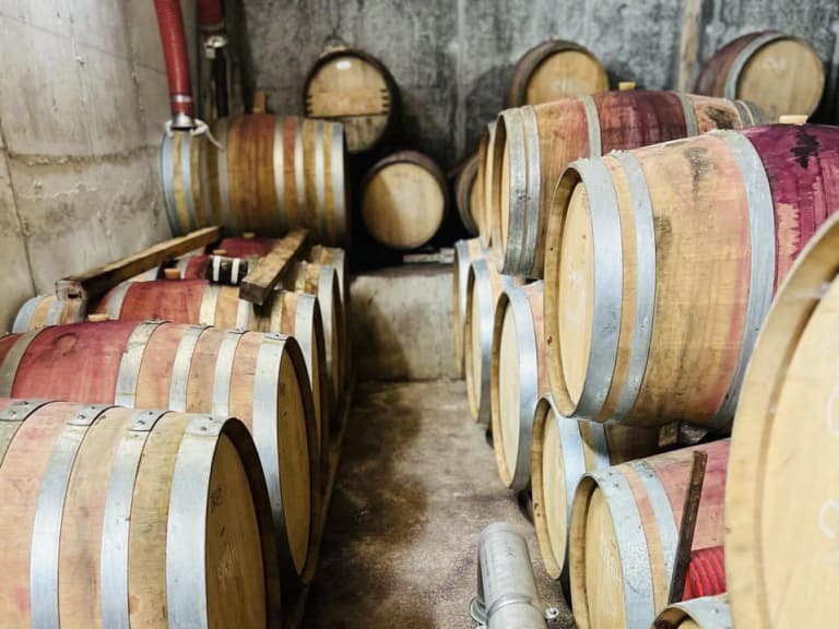 Avril 2023 / Au Domaine du Vieux Noyer