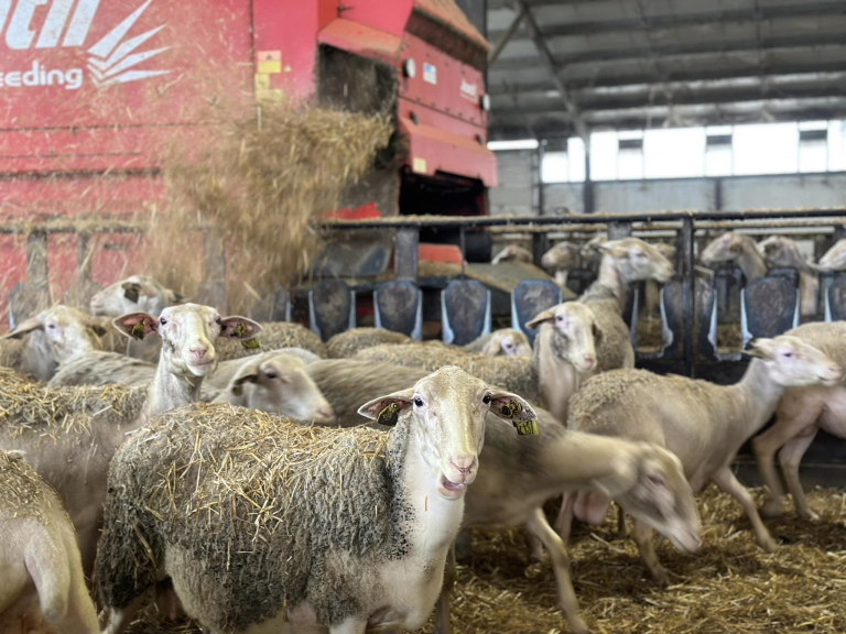 Nov 2023 / A la ferme du Puech Blanc